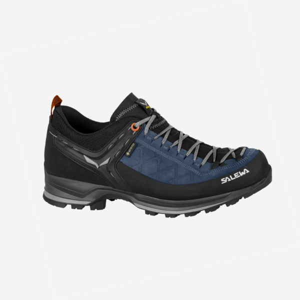 Ботинки Mountain Trainer 2 GTX MS (EU 42 UK 8 USm 9 СМ 27; blue seal/black)